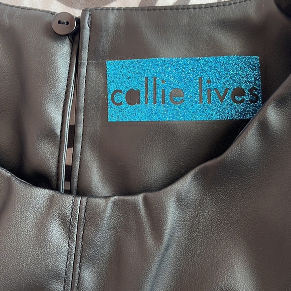 🎉HP🎉 Black Matte Vegan Leather Sheath Mini Dress - Picture 9 of 10